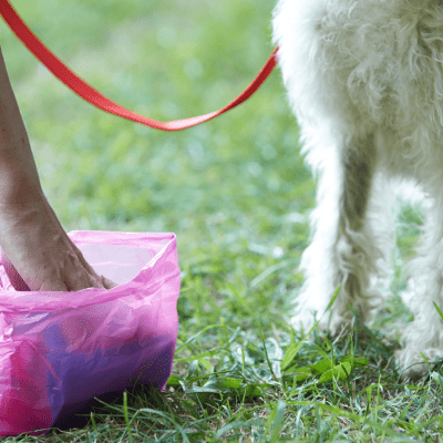RESIDENTIAL PET WASTE REMOVAL